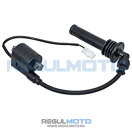 Катушка зажигания 4Т Regulmoto Nibbi 300NC со свечным колпачком