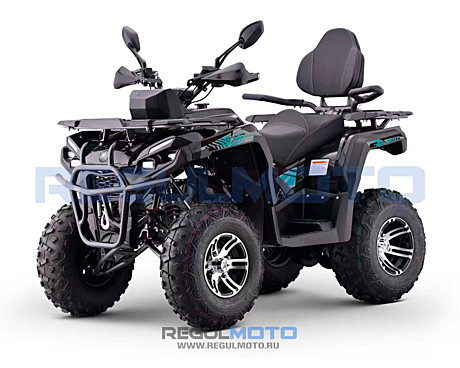 Запчасти для REGULMOTO ATV220 LUX LONG NEW (ЧЕРНЫЙ)
