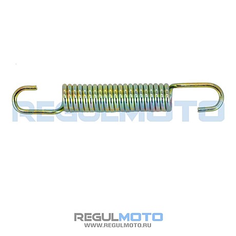 Пружина подножки боковой T-Leopard, Raptor 200-250