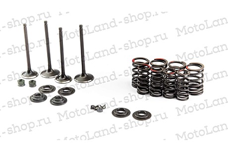 Клапана 4Т 172FMM-5 (PR250 сбалансиром) (компл=4шт+ремкомплект) ZS