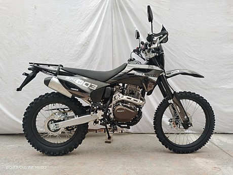 Мотоцикл Regulmoto SPORT-003 300 PR (ЧЕРНЫЙ) (балансировочный вал)