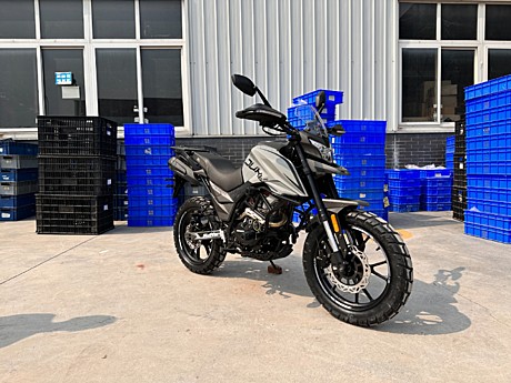 Мотоцикл Regulmoto DUKE PRO 300 (СЕРЫЙ)