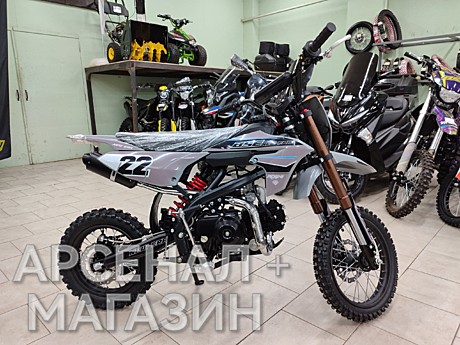 Питбайк BSE NEW ERA 110e Gray Reed Auto (14/12) (АВТОМАТ)