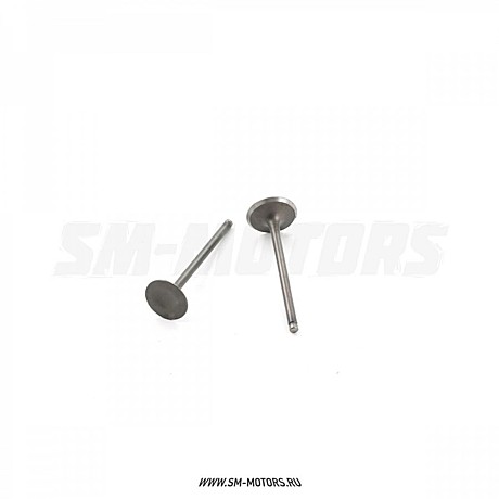 Клапана 4Т CB250 стандартные d=27/31,5 SM-PARTS