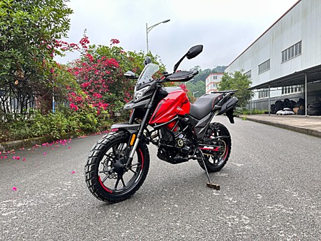 Мотоцикл Regulmoto DUKE PRO 300 (КРАСНЫЙ)