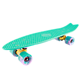 Пенниборд ТТ FISHBOARD 23" PRINT