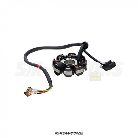 Статор генератора KAYO ZS CB250D-G (воздушный) (P061022)